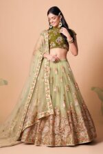 Pista Color Soft Net Fabric Sequence Embroidery With Mirror Work Lehenga-FDVEP7326PISTA (2) Pista Color Soft Net Fabric Sequence Embroidery With Mirror Work Lehenga