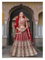 Red Color Heavy Butterfly Net Fabric Beautiful Embroidery Work Bridal Lehenga