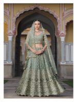 Sky Color Heavy Butterfly Net Fabric Beautiful Embroidery Work Bridal Lehenga
