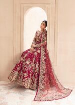 Maroon Color Heavy Butterfly Net Beautiful Embroidery Work Bridal Gown