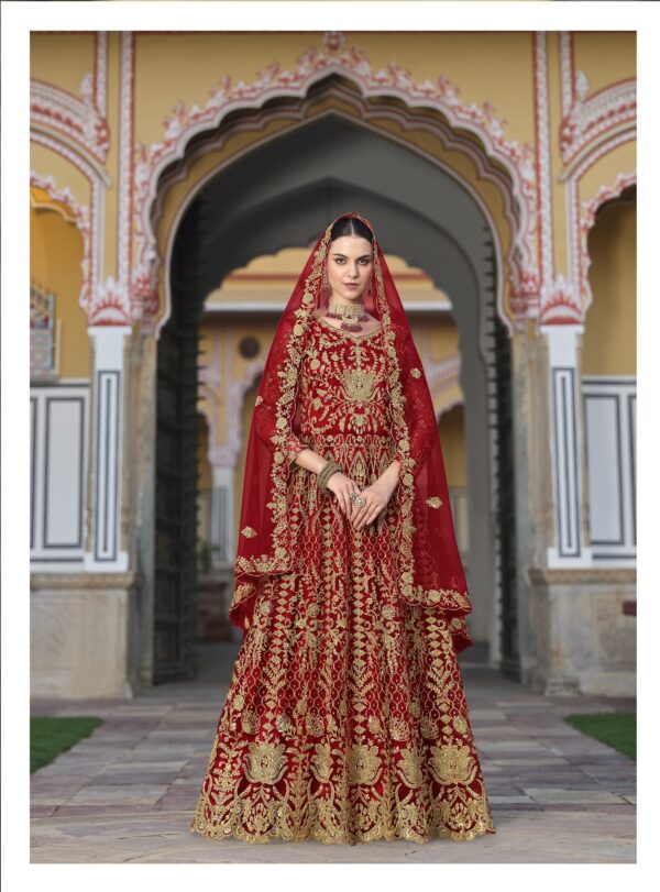Red Color Pure Butterfly Net Fabric Beautiful Embroidery Work Bridal Suit