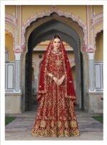 Red Color Pure Butterfly Net Fabric Beautiful Embroidery Work Bridal Suit