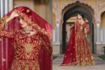 Red Color Pure Butterfly Net Fabric Beautiful Embroidery Work Bridal Suit