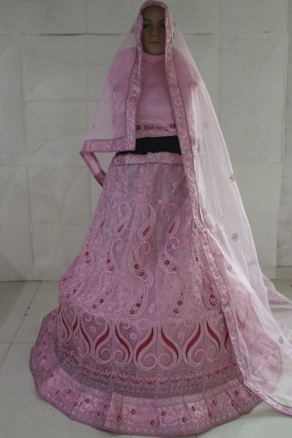 Pink Color Heavy Butterfly Net Beautiful Embroidery Work Lehenga