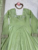 Pista Color Fandy Silk Fabric Thread With Sequence Work Gown