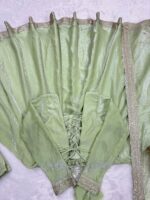 Pista Color Fandy Silk Fabric Thread With Sequence Work Gown