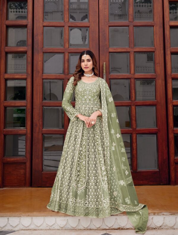 Pista Color Pure Butterfly Net Fabric Embroidery With Mirror Work Suit