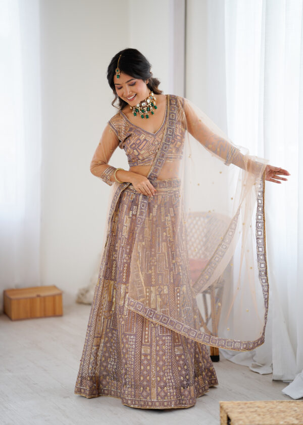 Beige Color Soft Butterfly Net Fabric Sequence Work Lehenga