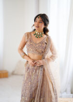 Beige Color Soft Butterfly Net Fabric Sequence Work Lehenga