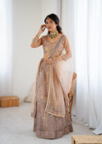Beige Color Soft Butterfly Net Fabric Sequence Work Lehenga