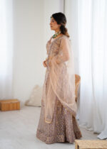 Beige Color Soft Butterfly Net Fabric Sequence Work Lehenga