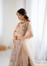 Beige Color Soft Butterfly Net Fabric Sequence Work Lehenga