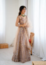 Beige Color Soft Butterfly Net Fabric Sequence Work Lehenga