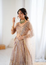 Beige Color Soft Butterfly Net Fabric Sequence Work Lehenga