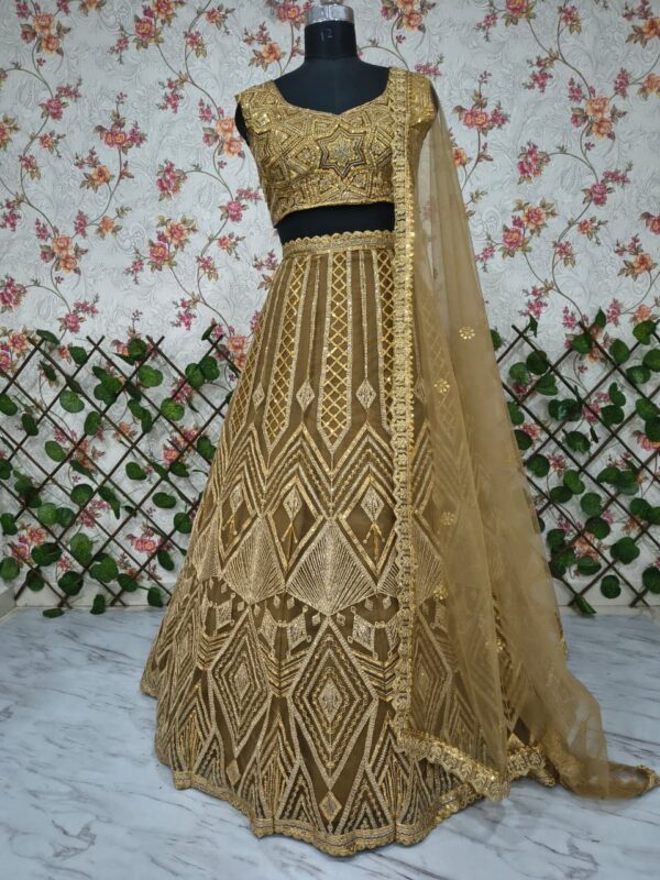 Brown Color Butterfly Net Fabric Sequence Work Lehenga