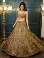 Brown Color Butterfly Net Fabric Sequence Work Lehenga