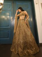 Brown Color Butterfly Net Fabric Sequence Work Lehenga