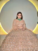 Gold Color Butterfly Net Fabric Sequence Work Lehenga