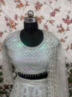 Pista Color Butterfly Soft Net Fabric Sequence Work Lehenga