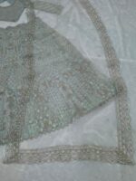 Pista Color Butterfly Soft Net Fabric Sequence Work Lehenga