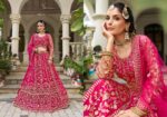 Rani Pink Color Butterfly Net Fabric Embroidery Work Bridal Lehenga