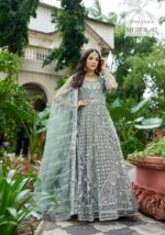 Sky Color Pure Butterfly Net Fabric Heavy Embroidery Work Suit