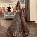 Brown Color Net Fabric Sequence Work Lehenga