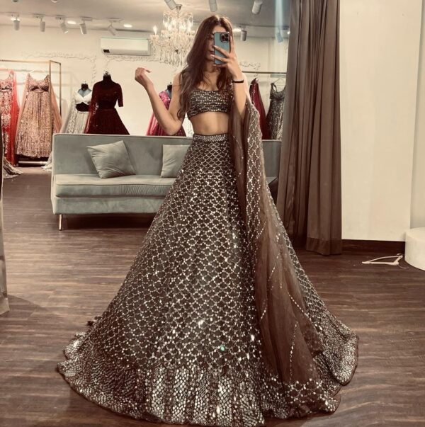 Brown Color Net Fabric Sequence Work Lehenga