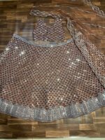 Brown Color Net Fabric Sequence Work Lehenga