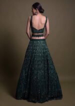 Green Color Net Fabric Sequence With Thread Work Lehenga