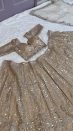 Light Brown Color Kasturi Silk Fabric Sequence Work Lehenga