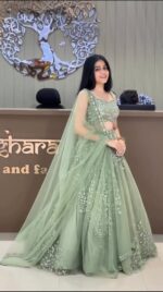 Light Pista Color Soft Butterfly Net Fabric Sequence Work Lehenga