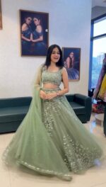 Light Pista Color Soft Butterfly Net Fabric Sequence Work Lehenga