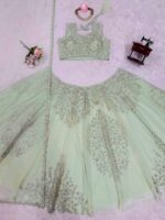 Light Pista Color Soft Butterfly Net Fabric Sequence Work Lehenga