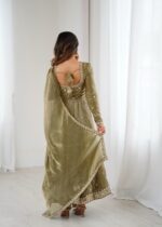 Mehandi Color Fendi Silk Fabric Sequence Work Gown