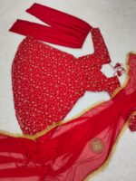 Red Color Faux Georgette Fabric Jari With Sequence Work Suit