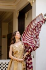 Gold Color Pure Banarasi Viscose Fabric Kali Pattern Lehenga