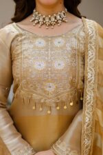 Gold Color Pure Banarasi Viscose Fabric Kali Pattern Top Lehenga