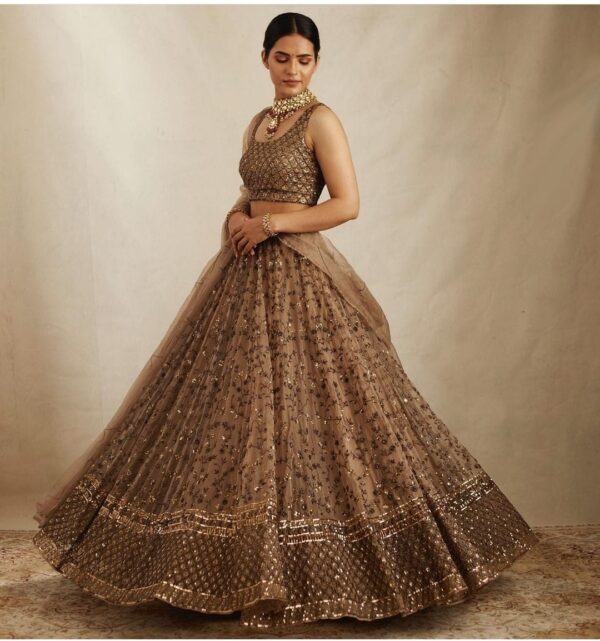 Brown Color Net Fabric Sequence Work Lehenga