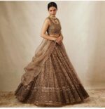 Brown Color Net Fabric Sequence Work Lehenga