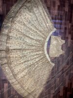 Brown Color Net Fabric Sequence Work Lehenga