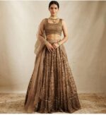 Brown Color Net Fabric Sequence Work Lehenga