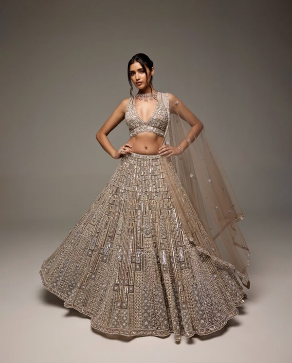 Gold Color Net Fabric Sequence Work Lehenga