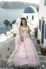 Baby Pink Color Double Layer Net Fabric Thread Work Lehenga