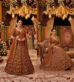 Chocolate Color Soft Butterfly Net Fabric Glass Sequence Work Kiara Advani Lehenga