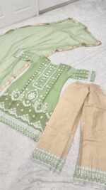 Pista Color Slub Silk Fabric Chain Stitch Embroidery Work Suit