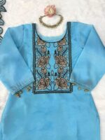 Sky Color Mul Chanderi Fabric Thread Work Suit