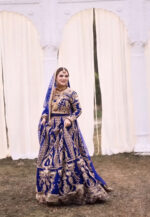 Special Wedding Blue Color Velvet Embroidery Sequence Work Bridal Lehenga