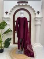 Dark Wine Color American Silk Fabric Thread With Sequence Work Suit