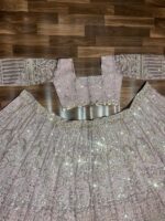 Onion Color Net Fabric Coding With Sequence Work Lehenga